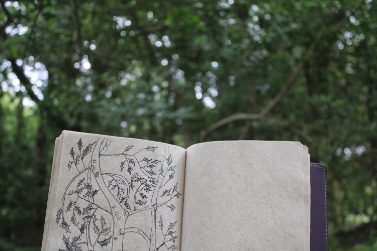 A sketchbook in the foreground with a drawing of holly, the holly tree being drawn fills the background